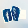 Afbeelding van PAR Cyanotype kit - Postcard art.nr. 3114